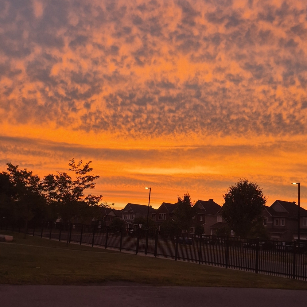 Meet your Posher, Talin